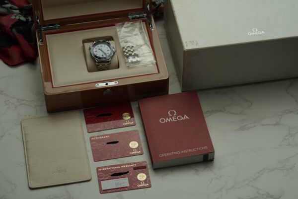 2022 Omega Seamaster Professional 300m 210.30.42.20.06.001 "Grey Wave" - Image 11