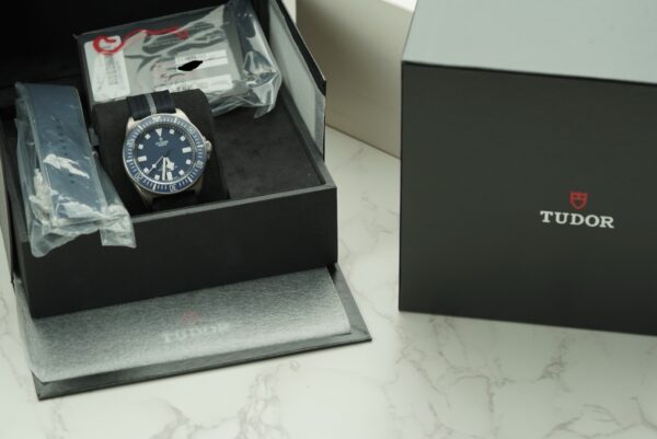 2022 Tudor Pelagos FXD 42mm 25707B - Image 12